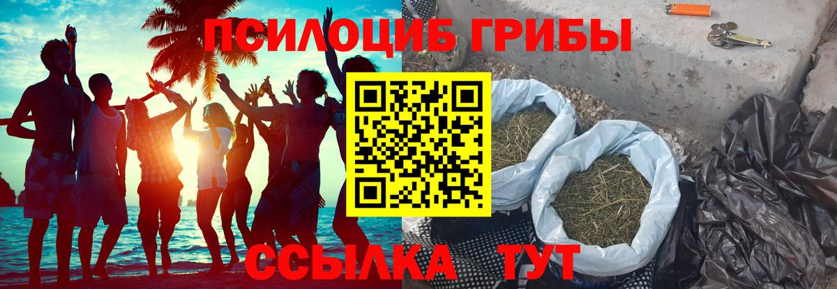 Галлюциногенные грибы прущие грибы  Вход с VPN  как найти закладки  Кушва  Псилоцибиновые грибы мицелий 