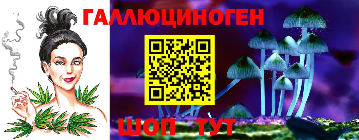 Галлюциногенные грибы Cubensis Кушва